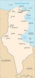 Nouvelle expérience pour yassine meriah ? Tunisia Mining Minerals And Fuel Resources