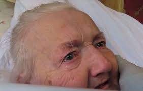 Fireworks🙈🫣Neighbours set off pyro display a few feet from my cottage. I  found spent fireworks casings in the garden. We have had three separate  incidents of burnt out thatches in Suffolk recently