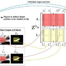 To make the location of the organs in the great abdominopelvic cavity easier, anatomists divided the abdominopelvic cavity another simpler way to divide the abdominopelvic cavity is in four quadrants. Construction Of The Four Quadrant Matrix Download Scientific Diagram