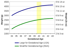 How To Calculate Gestational Age Manually