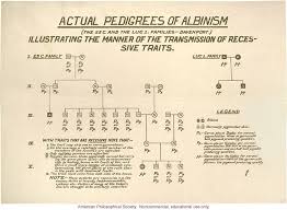 Albinism Pedigree By Charles Davenport Dna Learning Center