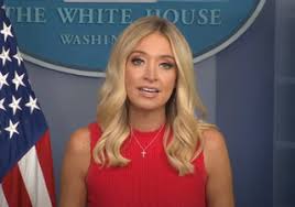 She is also a conservative writer; White House Press Secretary Kayleigh Mcenany Was Made For The Top Job 9honey