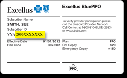 The credit/debit card number is referred to as a pan, or primary account number. Group Number On Excellus Insurance Card