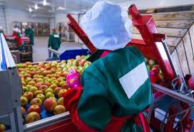 De locuri muncă actualizat oct. Joburi In Spania Pentru Romanii Care Vor Sa Lucreze In Agricultura