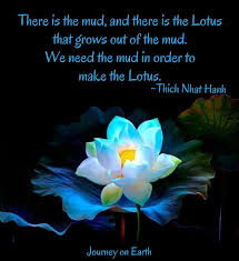 The order of the lotus flower. There Is The Mud And There Is The Lotus That Grows Out Of The Mud We Need The Mud In Order To Make The Lotus T Pretty Flowers Thich Nhat Hanh