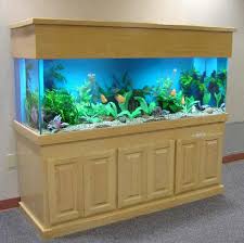 Beli aneka produk model aquarium online terlengkap dengan mudah, cepat & aman di tokopedia. Model Aquarium Ikan Koki Aneka Ikan Hias