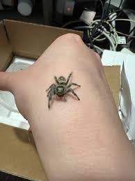 Is this spider in my room a threat to my dog?
