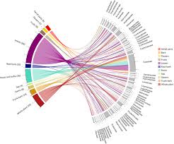 Image result for Macledium poggei