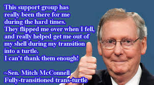 Your meme was successfully uploaded and it is now in moderation. Mitch Mcconnell Trans Turtle