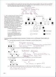 Practice problems (with answers) this is the degree of difficulty of the questions. Pedigree Worksheet Answer Key Promotiontablecovers