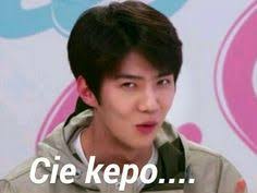 Sticker kuy all fresh memes for whatsapp lol emoji. 31 Ide Stiker Wa Meme Meme Lucu Humor Lucu