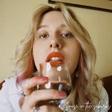 House in the Suburbs