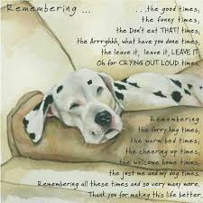 Memories Dog Quote Dog Poems Dog Quotes Dog Love