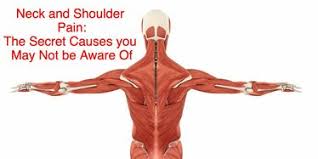 The shoulder bones consists of two bones : Neck And Shoulder Pain The Secret Causes You May Not Be Aware Of Kinetikchain Physical Therapy