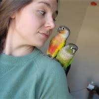 300+ "Elaura" profiles