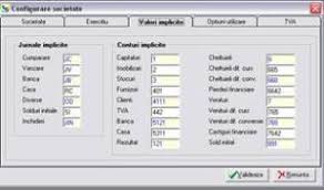 O que é capital social e como definir seu valor? Inregistrarea Unei Monografi Contabile In Programul Ciel