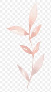Luxury Rose Gold Leaf Png Sticker Transparent Premium Image By Rawpixel Com Adj Transparent Stickers Leaf Illustration Png