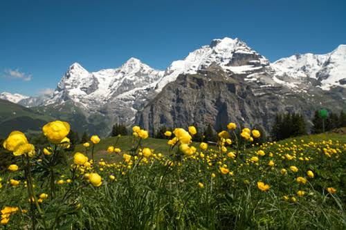 mountains