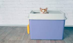 Dirty litter boxes can lead to serious feline health problems. The 10 Best Cat Litter Box Liners With Complete Reviews