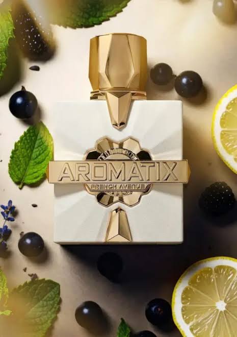 Platine Blanc – 100ml – Aromatix X French Avenue - Perfume