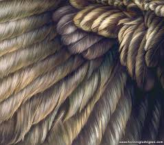 Birds Of A Feather Assassin S Odyssey Animal Body Coverings Feathers Bemalte Federn Bemalte Vogel Texturen
