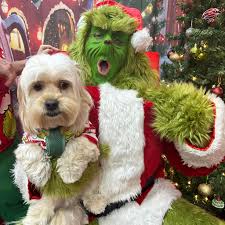 Fun day with Joann Bagnoli Dexter and Kai Gourmet Goodies Grinchmas 2024  and doggies with Santa Claus