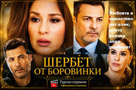 Турски - "Шербет от боровинки": Фатих отказва да се раздели с Башак и  предприема смел ход, за да спаси любовта си, докато Емир стига до  най-мрачния момент в живота си. В същото