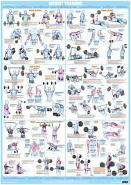 Weight Training And Bodybuilding Exercise Poster Barbell And