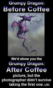 The Photographer Of Grympy After Coffee Didn T Survive Xd Dragon Quotes Fairy Dragon Cute Dragons