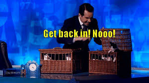 8 Out Of 10 Cats Does Countdown Jon Richardson Leaves British Comedian Jimmy Carr Trying To Herd Cats On 8 Out 10 Cats Does Countdown Https Ift Tt 2htde2n With Images Cat Day 8 Out Of 10 Cats Comedians