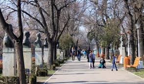 Obiectivele de dezvoltare ale mileniului (odm). Conducerea Imas A Semnalat Erori Grave In Sondajul Realizat De Institutul De Politici Publice Actualitate