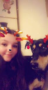 Marley celebrating the Christmas season 🎄