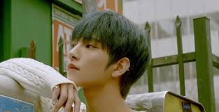 Joshua (조슈아) is an american/korean singer under pledis entertainment. Joshua Seventeen Profile K Pop Database Dbkpop Com