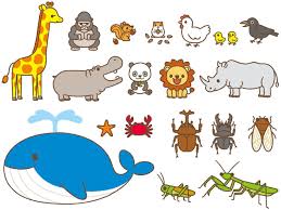 イラストレーターさとうゆか 子ども向け 動物のかわいいイラスト sugar plum 月刊保育雑誌 pot 保育室飾り かわいいイラスト イラスト 手作りアルバム デザイン