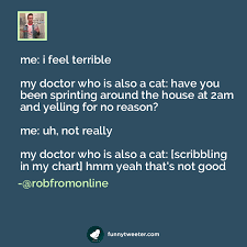 Me I Feel Terrible My Doctor Who Is Also A Cat Have You