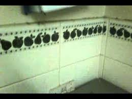 Which kitchen appliances belong to the premium segment? Massive Cockroach Infestation In Kitchen German Cockroaches Youtube