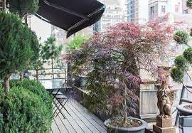 Pin On Socal Gardens Outdoor Rooms