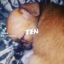 Puppy Girl Tiktok Explore Tumblr Posts And Blogs Tumgir