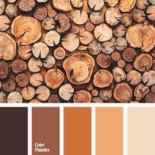 Color Palette 2642 Brown Color Palette Fall Color Combinations Warm Living Room Colors