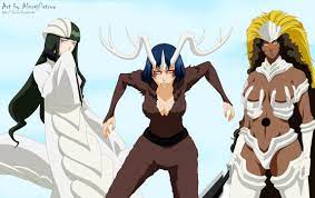 The amazing tres bestias. Do you have a favorite based on personality? From  deviantart : r/bleach