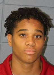 Christmas Display Vandals Arrested