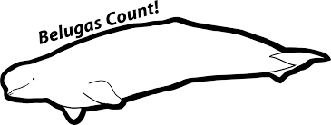 Personalize your car windows with stickers designed by independent artists. Cook Inlet Beluga Whale Drawing And Naming Contest Noaa Fisheries