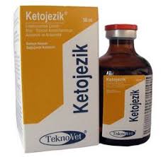 ketojezik vetilac com