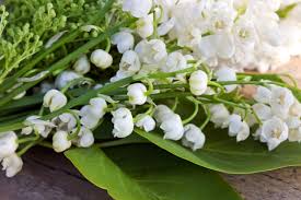 Votre bouquet est réalisé par un artisan fleuriste près de chez vous. Les Plus Belles Photos De Muguet A Envoyer Pour Le 1er Mai