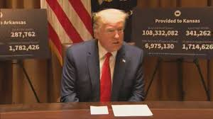 Dead cat gets U.S. voter registration application in the mail