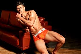 Alibaba.com offers 1,445 nylon bodybuilding apparel products. Francis Neiman Premium Men S Underwear Online More