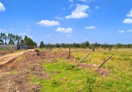 Uthiru Plot