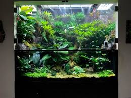 Paludarium 180x70x150 H Cm Van S Jungle Studios Terraria Idee Acquario Aquascaping Acquario