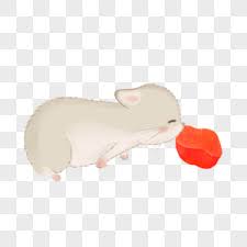 Compress jpeg images and photos for displaying on web pages, sharing on social networks or sending by email. 120000 Vector Hamster Hd Photos Free Download Lovepik Com