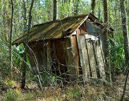Little Old Shack In The Woods By Ed Printz Antebellum Homes Old Barns Abandoned Buildings